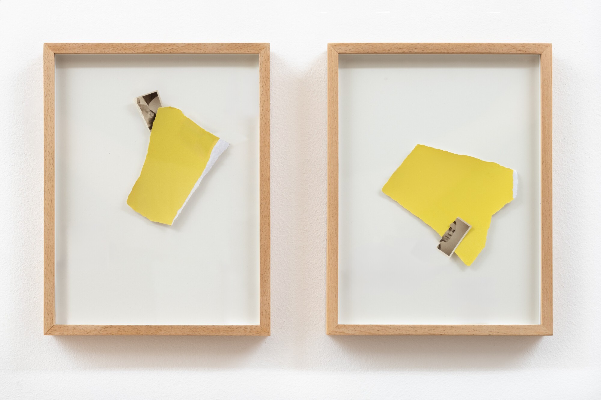 Toute la vie du visage